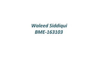 Waleed Siddiqui
BME-163103
 