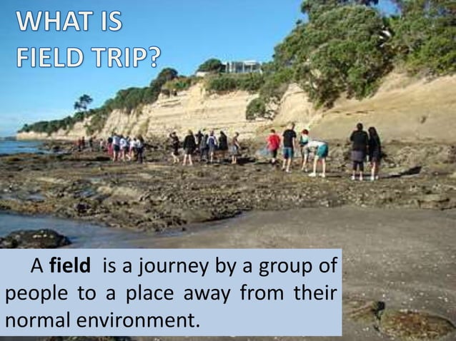 importance of field trip in social science
