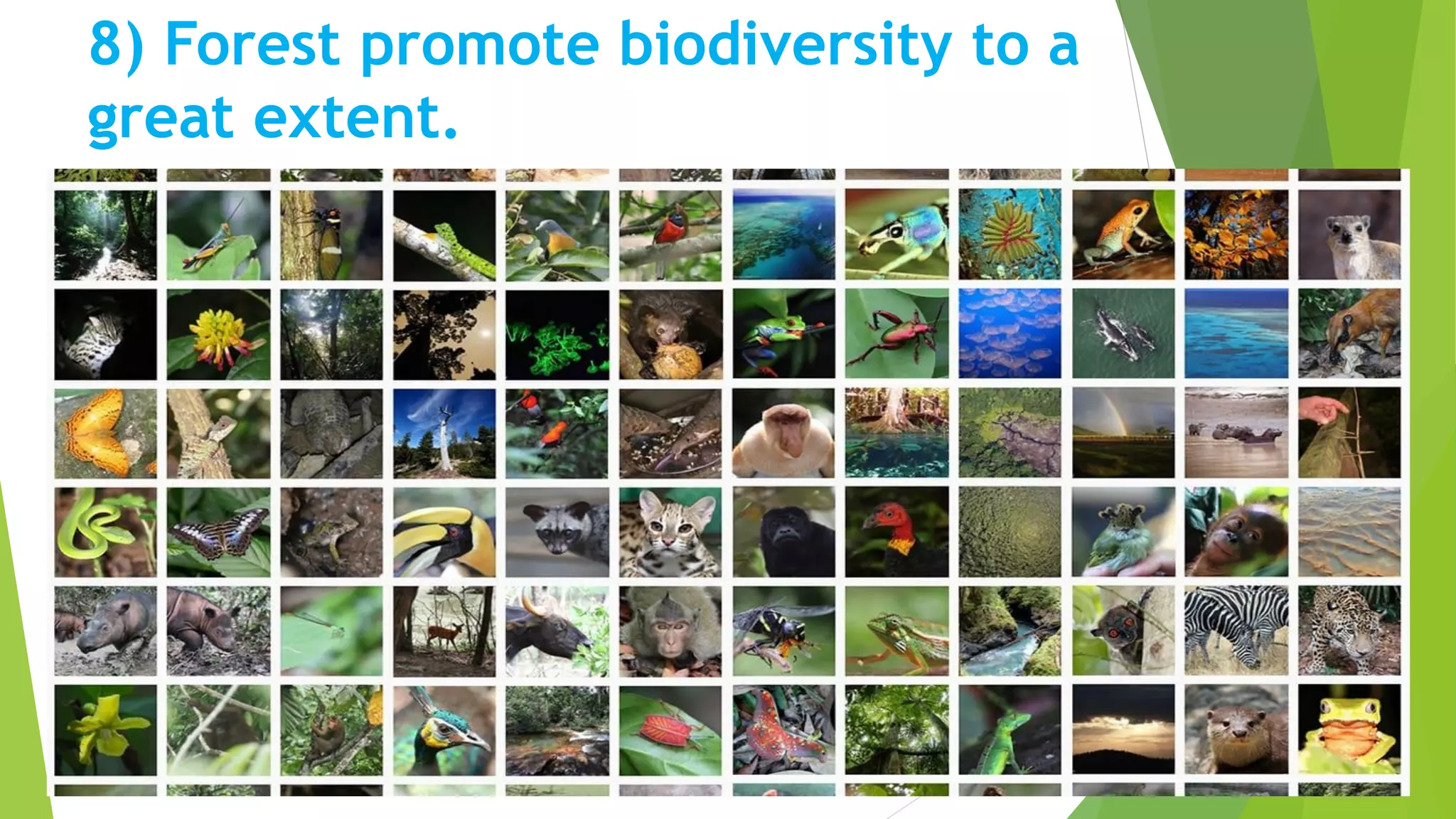 Importance of forest PPT by Shivraj Misal-9766649966.pdf