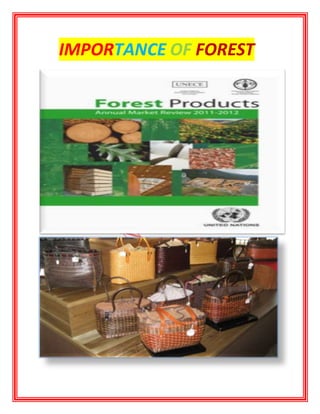 IMPORTANCE OF FOREST
 