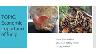 TOPIC:
Economic
importance
of fungi
Name: Ravneet kaur
Class: Msc Botany 3rd sem
UID:150606006
 