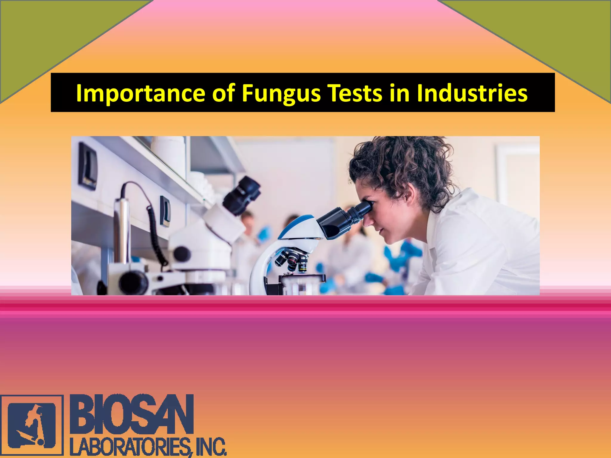 Importance of Fungus Tests in Industries