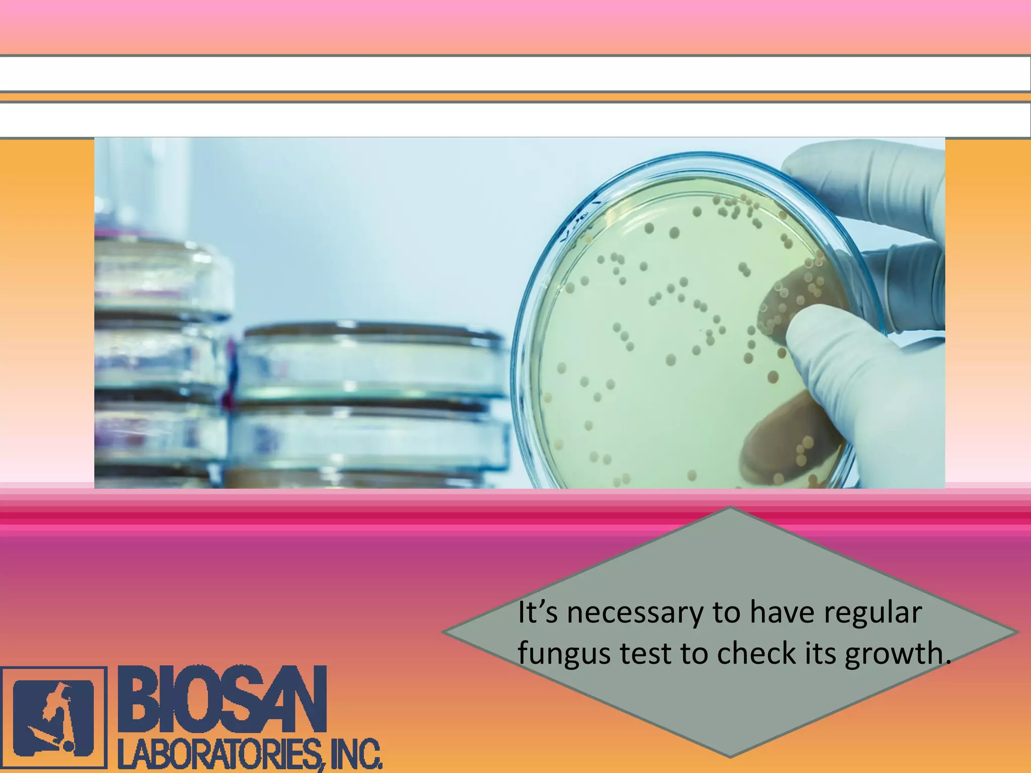 It’s necessary to have regular
fungus test to check its growth.