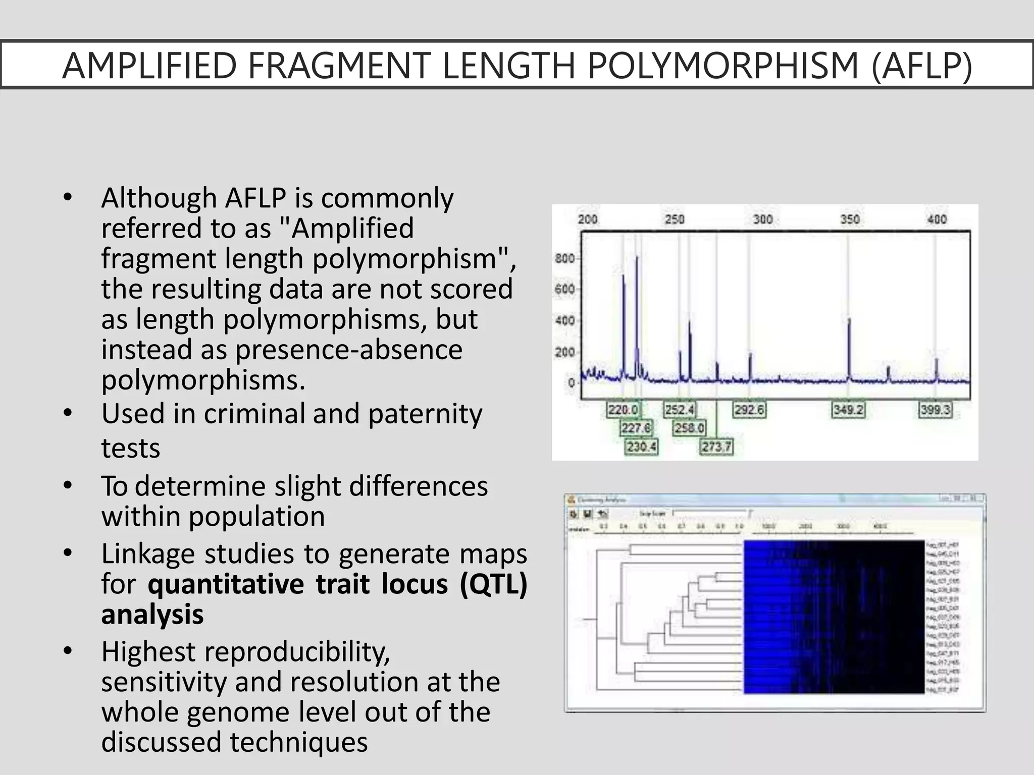 AMPLIFIED FRAGMENT LENGTH POLYMORPHISM (AFLP)
• Although AFLP is commonly
referred to as "Amplified
fragment length polymorphism",
the resulting data are not scored
as length polymorphisms, but
instead as presence-absence
polymorphisms.
• Used in criminal and paternity
tests
• To determine slight differences
within population
• Linkage studies to generate maps
for quantitative trait locus (QTL)
analysis
• Highest reproducibility,
sensitivity and resolution at the
whole genome level out of the
discussed techniques
 