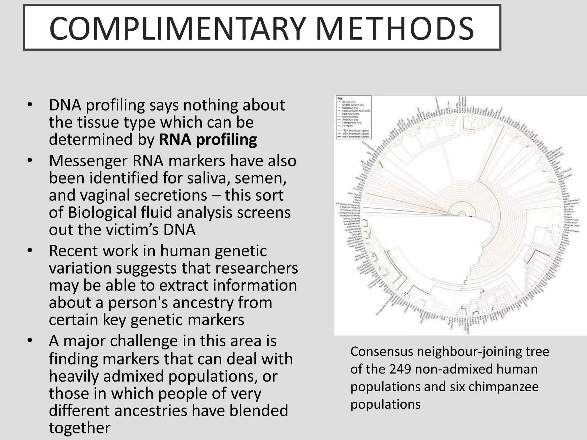 COMPLIMENTARY METHODS
• DNA profiling says nothing about
the tissue type which can be
determined by RNA profiling
• Messenger RNA markers have also
been identified for saliva, semen,
and vaginal secretions – this sort
of Biological fluid analysis screens
out the victim’s DNA
• Recent work in human genetic
variation suggests that researchers
may be able to extract information
about a person's ancestry from
certain key genetic markers
• A major challenge in this area is
finding markers that can deal with
heavily admixed populations, or
those in which people of very
different ancestries have blended
together
Consensus neighbour-joining tree
of the 249 non-admixed human
populations and six chimpanzee
populations
 