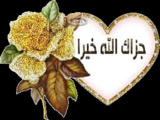 Importance of hadith