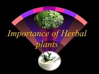 Importance of Herbal
plants
 