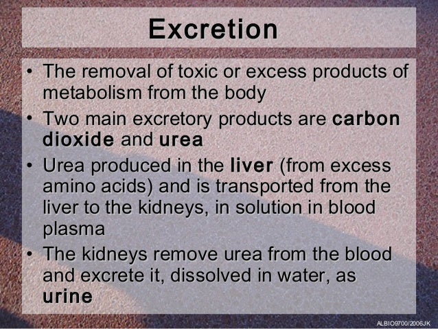 urea composition of Homeostasis; of Importance Water Control of Excretion; 01