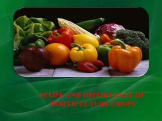 Importance of horticulture in india | PPT