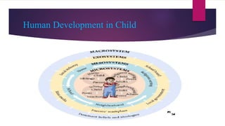 Importance of Human Devopment Kohinoor College Khultabad.pptx