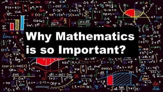 Why Mathematics
is so Important?
 