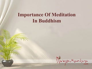 Importance Of Meditation
In Buddhism
 