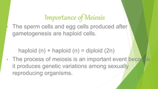 Importance of Meiosis
• The sperm cells and egg cells produced after
gametogenesis are haploid cells.
haploid (n) + haploid (n) = diploid (2n)
• The process of meiosis is an important event because
it produces genetic variations among sexually
reproducing organisms.
 
