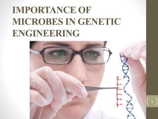IMPORTANCE OF
MICROBES IN GENETIC
ENGINEERING
1
 