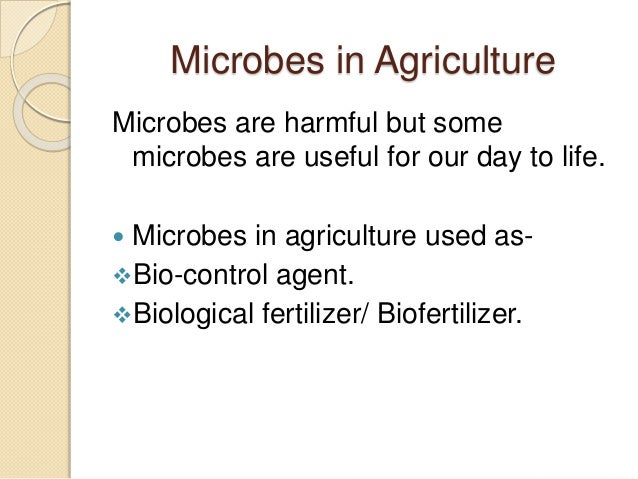 essay role of micro-organisms essay role of micro-organisms