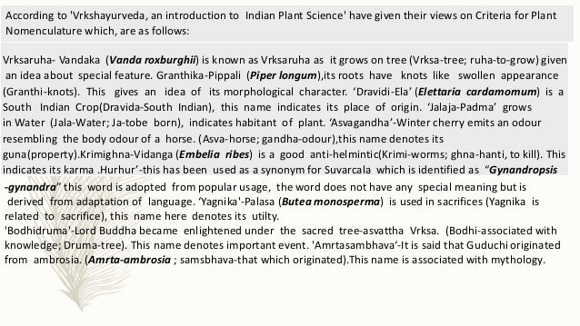 Get Jala Pippali Plant Background