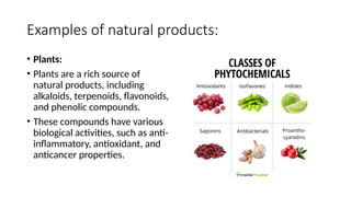 Natural Products Example Importance of Natural Compounds in Daily Life.pptx