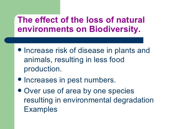 Importance Of Natural Environments Summary