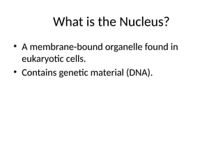 The Nucleus: Control Center and Genetic Backbone of the Cell | PPTX
