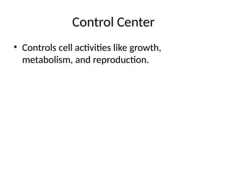 The Nucleus: Control Center and Genetic Backbone of the Cell | PPTX