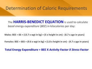 Importance of nutrition in hospitalized patients | PPT