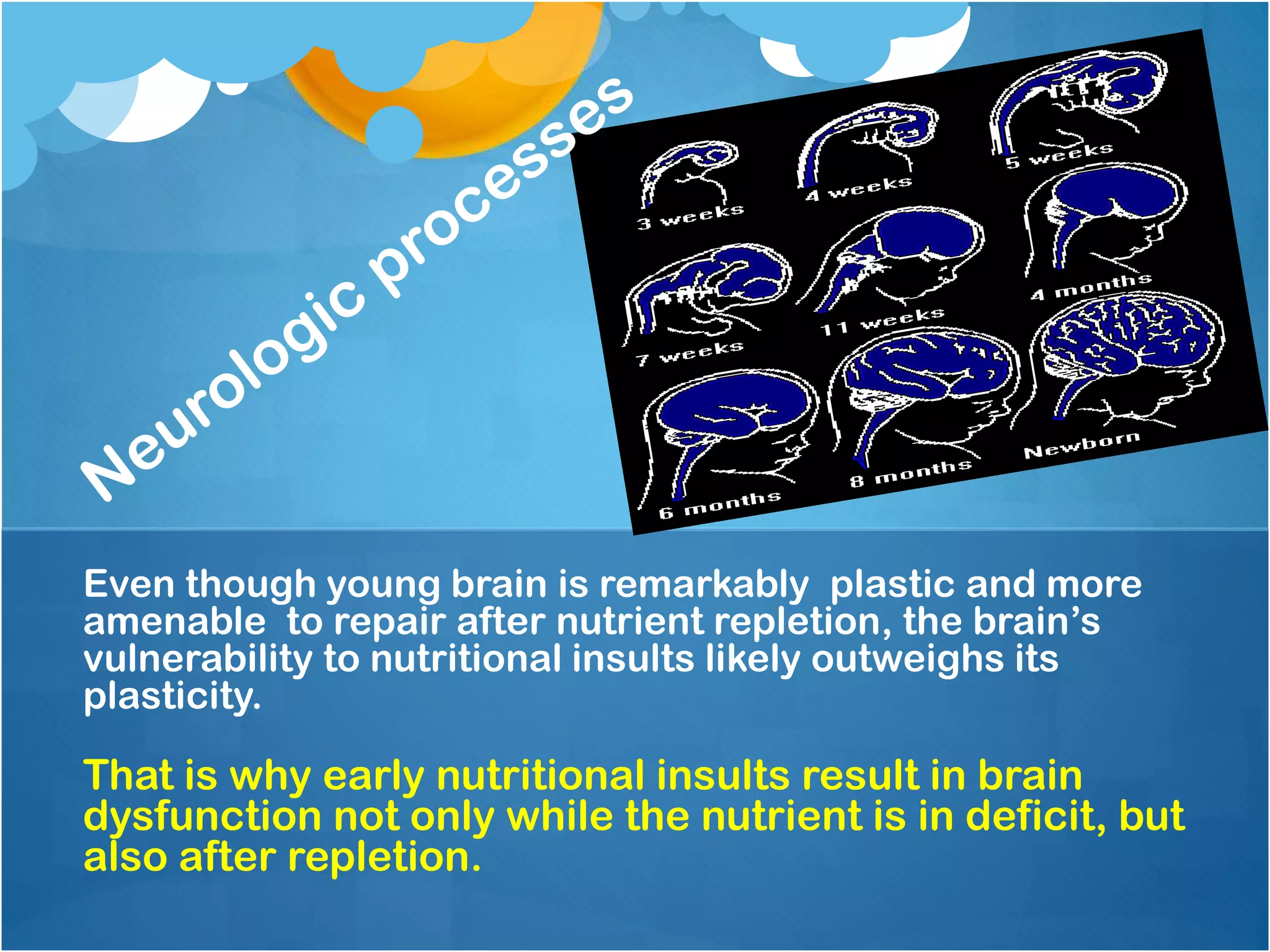 Even though young brain is remarkably plastic and more
amenable to repair after nutrient repletion, the brain’s
vulnerability to nutritional insults likely outweighs its
plasticity.
That is why early nutritional insults result in brain
dysfunction not only while the nutrient is in deficit, but
also after repletion.
 