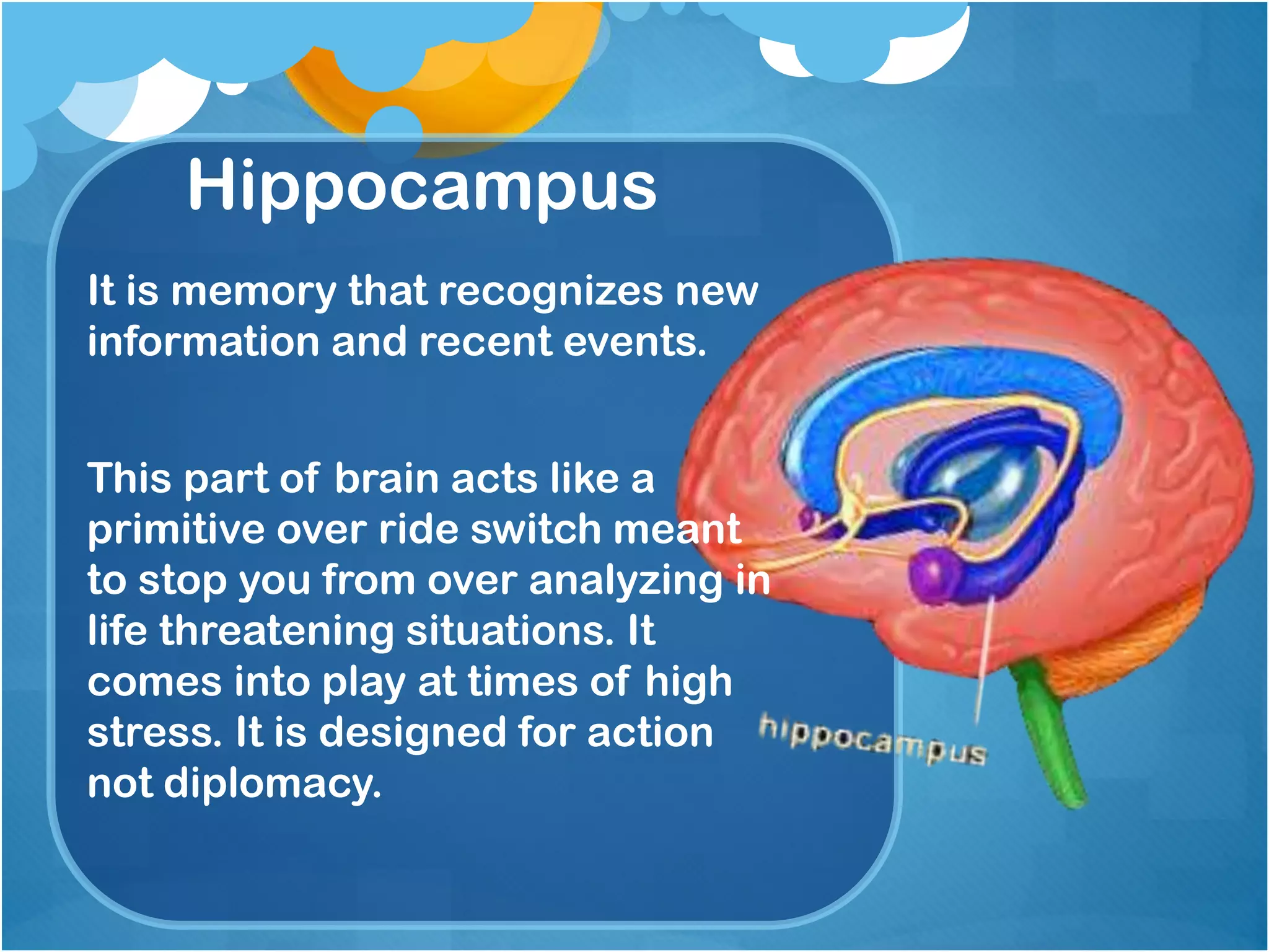 Hippocampus
It is memory that recognizes new
information and recent events.
This part of brain acts like a
primitive over ride switch meant
to stop you from over analyzing in
life threatening situations. It
comes into play at times of high
stress. It is designed for action
not diplomacy.
 