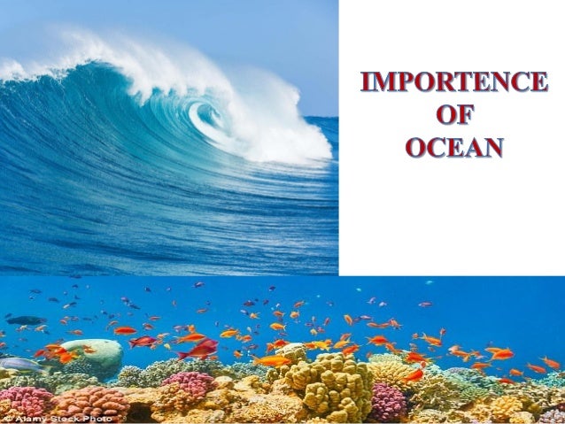 the importance of the ocean essay The importance of ocean exploration as soon as humanity existed, people were tempted to explore and discover everything around them this invincible desire has. the importance of the ocean essay The importance of ocean exploration as soon as humanity existed, people were tempted to explore and discover everything around them this invincible desire has.