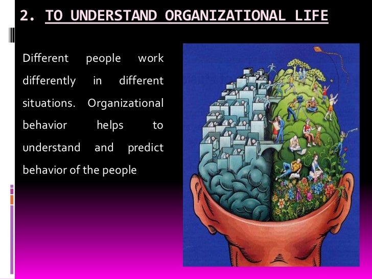 importance organizational behaviour With that in mind i would like to describe what organizational behavior is and why it is important in today's business world organizational. importance organizational behaviour With that in mind i would like to describe what organizational behavior is and why it is important in today's business world organizational.