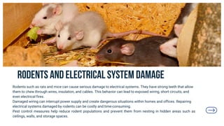 Rodent Electrical Fire Importance of Pest Control in Preventing Property Damage | PDF