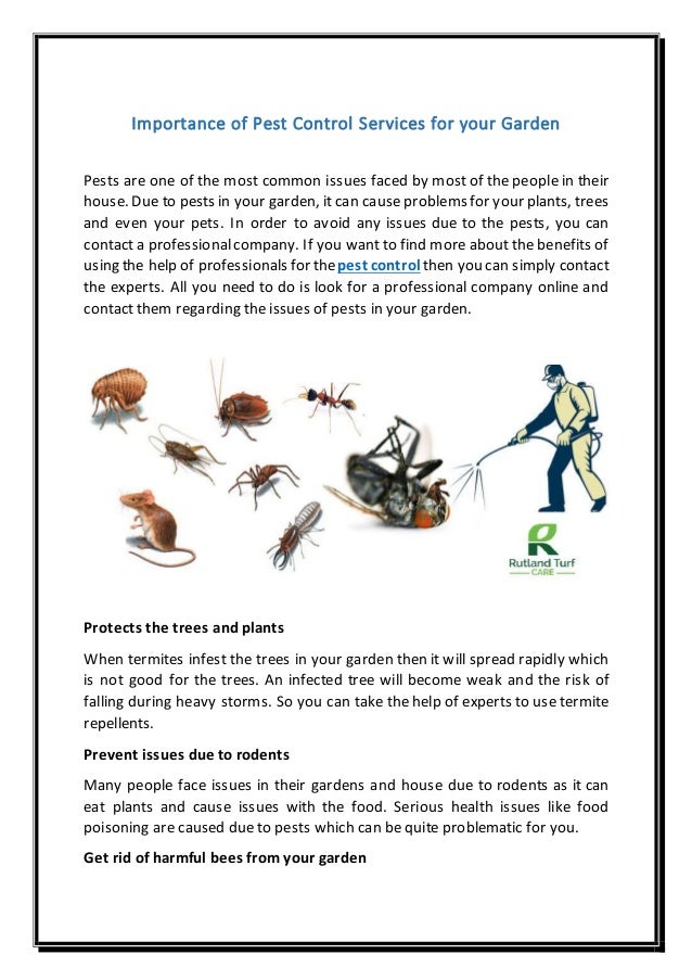Importance Of Pest Control Services For Your Garden