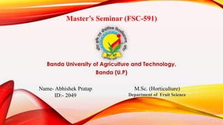 Master’s Seminar (FSC-591)
Banda University of Agriculture and Technology,
Banda (U.P)
Name- Abhishek Pratap
ID:- 2049
M.Sc. (Horticulture)
Department of Fruit Science
 