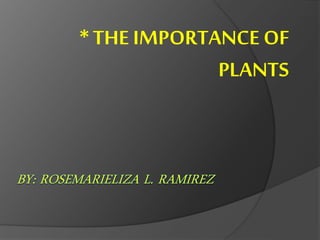 * THE IMPORTANCE OF 
PLANTS 
 