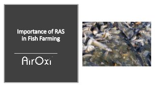 Importance of RAS
in Fish Farming
 