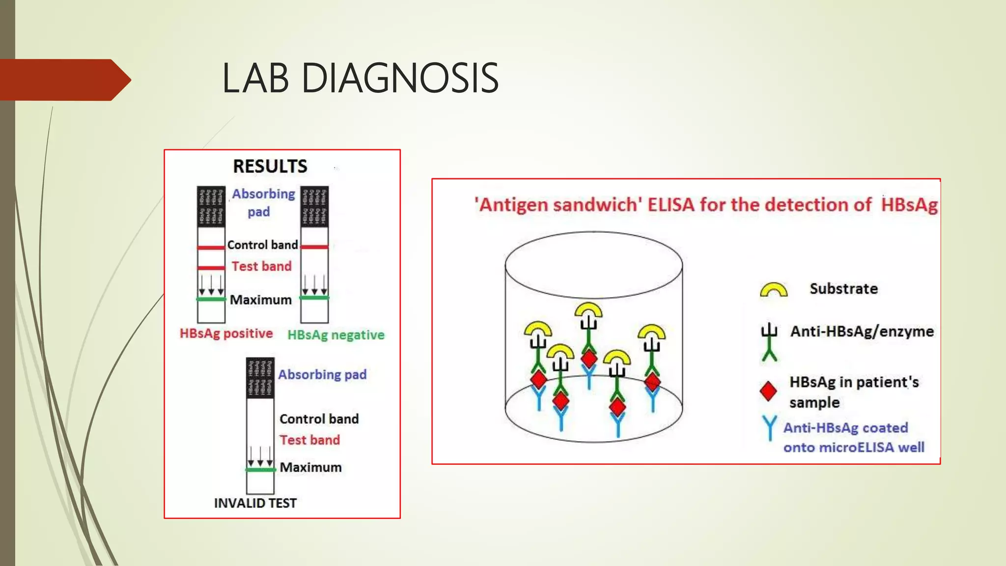 Importance of real time pcr in diagnosis of infectious diseases | PPTX