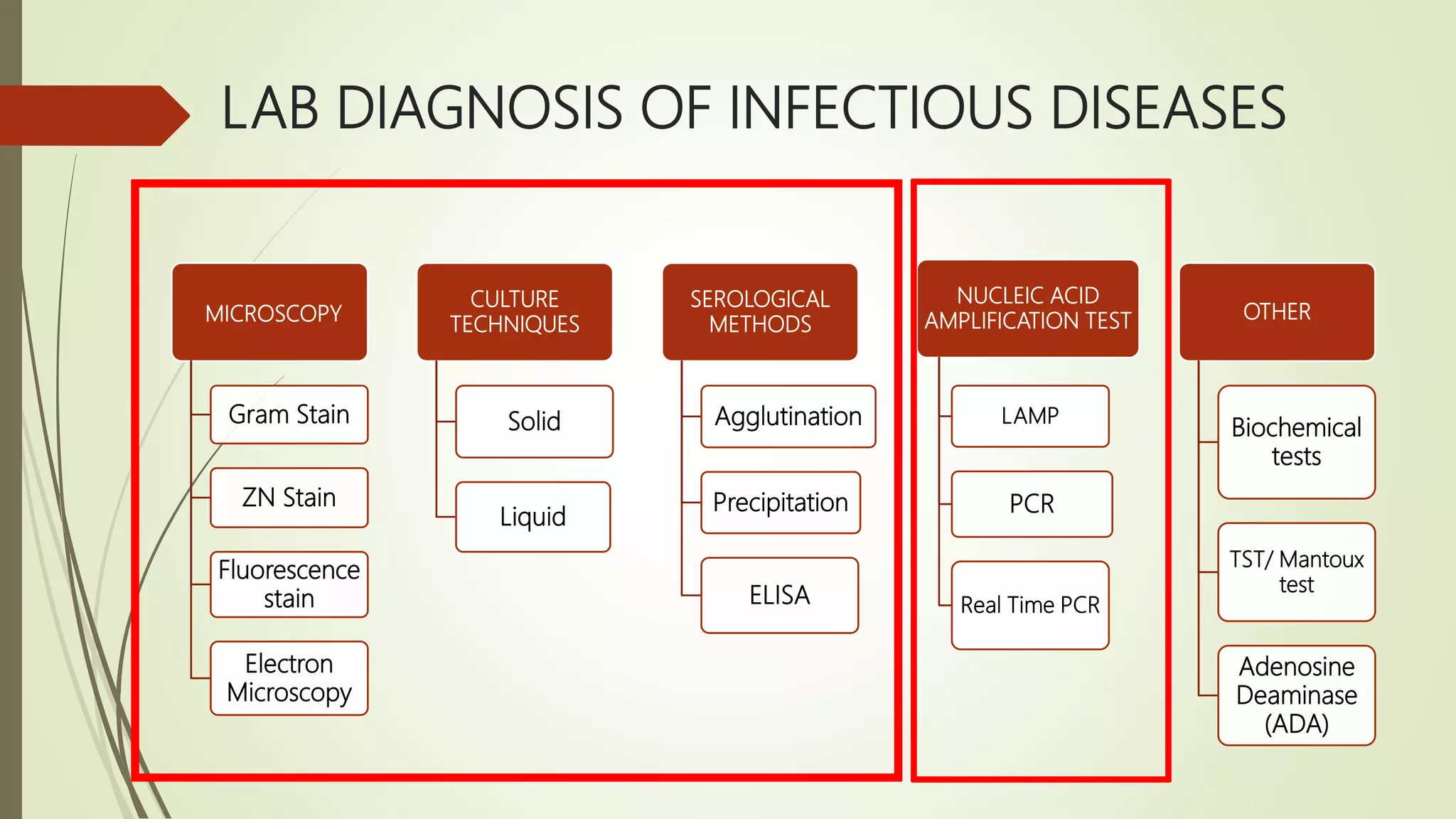 Importance of real time pcr in diagnosis of infectious diseases | PPTX