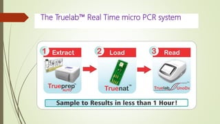 Importance of real time pcr in diagnosis of infectious diseases | PPTX