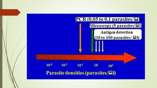 Importance of real time pcr in diagnosis of infectious diseases | PPTX