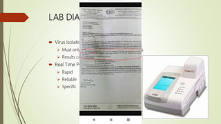 Importance of real time pcr in diagnosis of infectious diseases | PPTX
