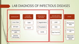 Importance of real time pcr in diagnosis of infectious diseases | PPTX