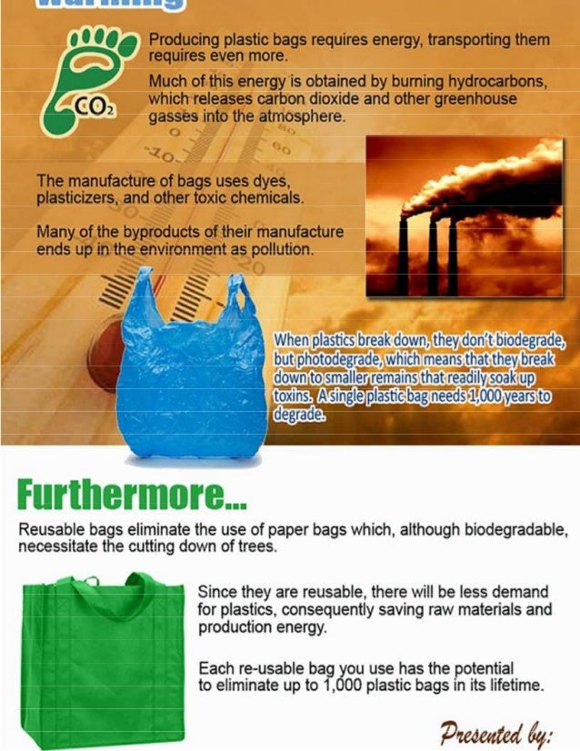 Importance of Reusable Bags