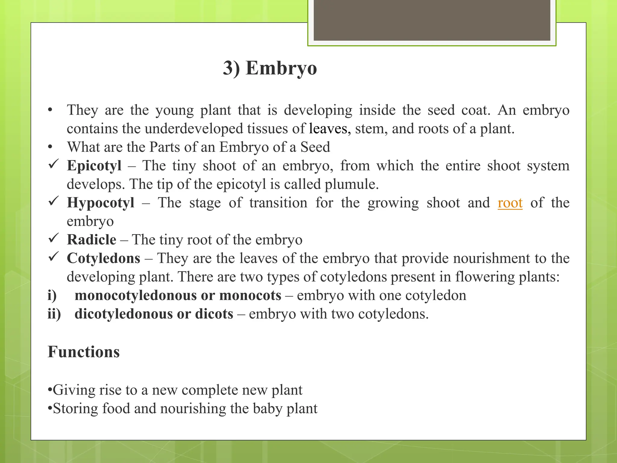 Undeveloped Roots Importance of seed, seed structure & function ”.pptx