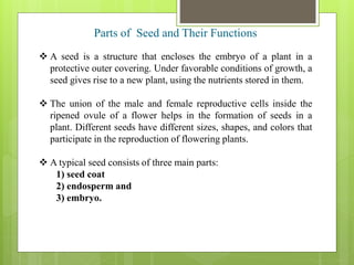 Importance of seed, seed structure & function ”.pptx