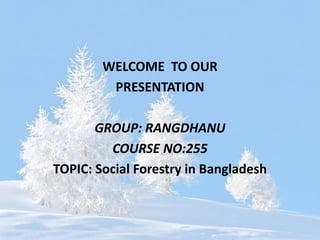 WELCOME TO OUR
PRESENTATION
GROUP: RANGDHANU
COURSE NO:255
TOPIC: Social Forestry in Bangladesh
 