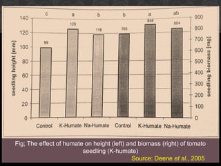Fig; The effect of humate on height (left) and biomass (right) of tomato
seedling (K-humate)
Source: Deene et al., 2005
 