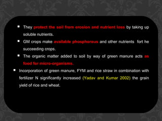  They protect the soil from erosion and nutrient loss by taking up
soluble nutrients.
 GM crops make available phosphorous and other nutrients fort he
succeeding crops.
 The organic matter added to soil by way of green manure acts as
food for micro-organisms.
 Incorporation of green manure, FYM and rice straw in combination with
fertilizer N significantly increased (Yadav and Kumar 2002) the grain
yield of rice and wheat.
 