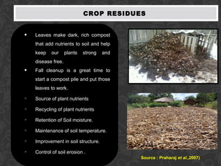 CROP RESIDUES
• Leaves make dark, rich compost
that add nutrients to soil and help
keep our plants strong and
disease free.
• Fall cleanup is a great time to
start a compost pile and put those
leaves to work.
• Source of plant nutrients
• Recycling of plant nutrients
• Retention of Soil moisture.
• Maintenance of soil temperature.
• Improvement in soil structure.
• Control of soil erosion .
Source : Praharaj et al.,2007)
 