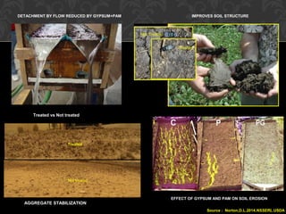 DETACHMENT BY FLOW REDUCED BY GYPSUM+PAM IMPROVES SOIL STRUCTURE
Treated vs Not treated
Treated
Not treated
AGGREGATE STABILIZATION
EFFECT OF GYPSUM AND PAM ON SOIL EROSION
Source : Norton,D.L.2014.NSSERL.USDA
 