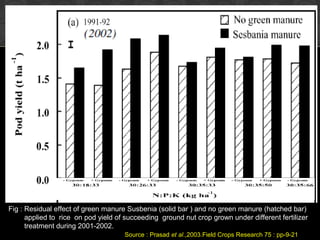Fig : Residual effect of green manure Susbenia (solid bar ) and no green manure (hatched bar)
applied to rice on pod yield of succeeding ground nut crop grown under different fertilizer
treatment during 2001-2002.
Source : Prasad et al.,2003.Field Crops Research 75 : pp-9-21
 