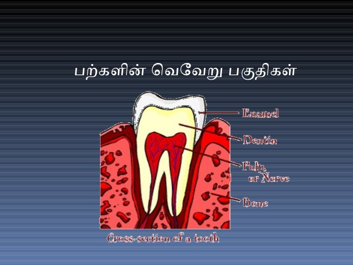 Importance of teeth cleaning in tamil